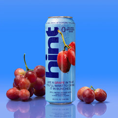 hint® Grape water - 12 pack 19.2oz still cans